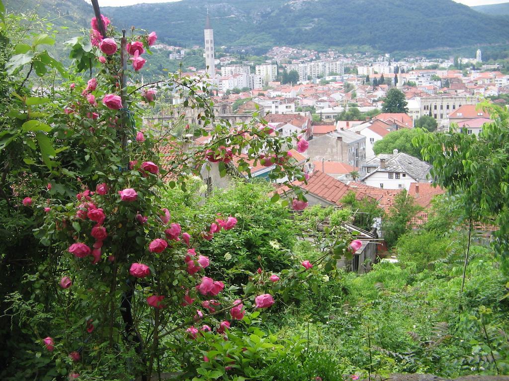מוסטר Guesthouse Panorama חדר תמונה